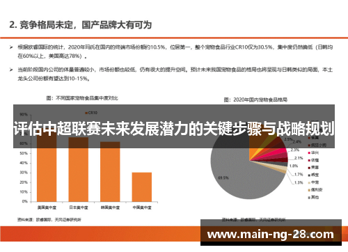 评估中超联赛未来发展潜力的关键步骤与战略规划 评估中超联赛未来发展潜力的关键步骤与战略规划