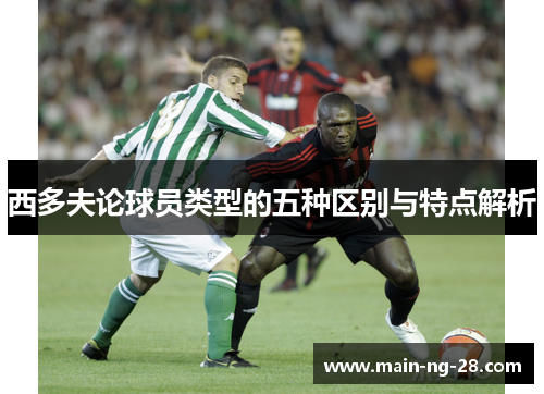 西多夫论球员类型的五种区别与特点解析