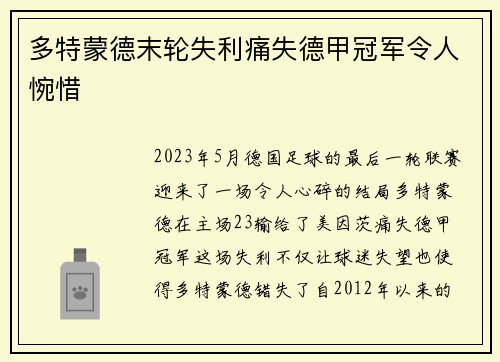 多特蒙德末轮失利痛失德甲冠军令人惋惜
